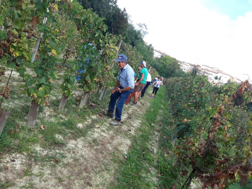 Portacomaro chiama, Papa Francesco risponde